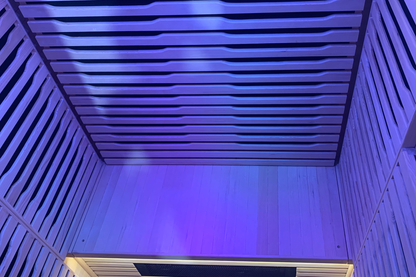 Blisspod Helsinki 2-Person Full-Spectrum Infrared Sauna with Red-Light Panel