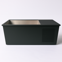 PolarEdge Monolith X Integrated Cold Plunge — 316L Stainless Steel Basin