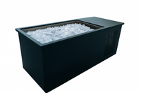 PolarEdge Monolith X Integrated Cold Plunge — 316L Stainless Steel Basin